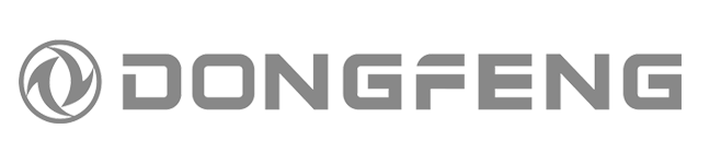 dongfeng-gris-logo
